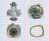 AQUAPLUS 85-4150 Water Pump